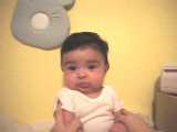 Under 12 months
