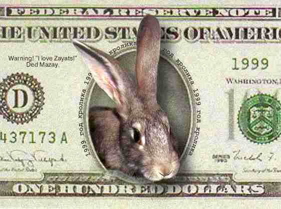 bunny_dollar.jpg
