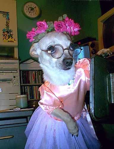 princesita.jpg