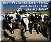 la_vaca_de_atras