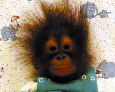 orangutan_bebe2.jpg