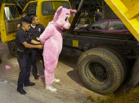 cerdo_detenido.jpg