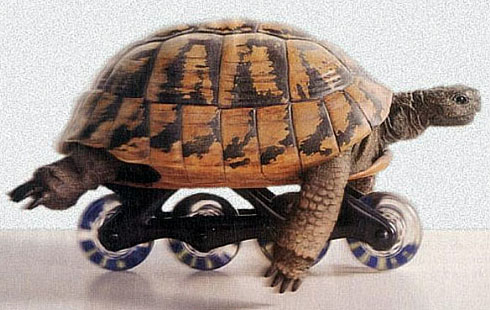 patin.jpg