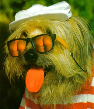 wally.jpg