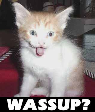 wazzup.jpg