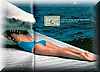 el_tiburon