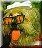 wally