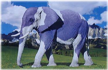 elefante_alpes.jpg