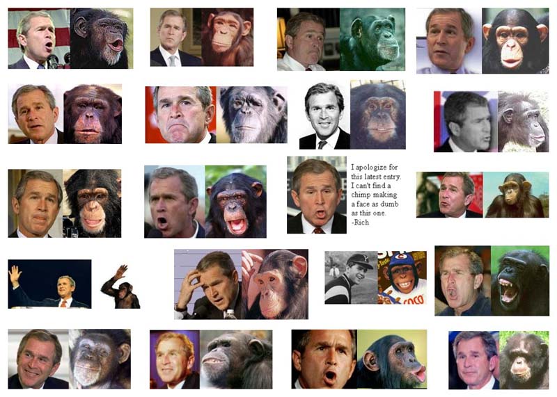 bush2.jpg