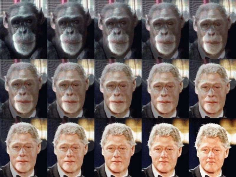 evolucion.jpg