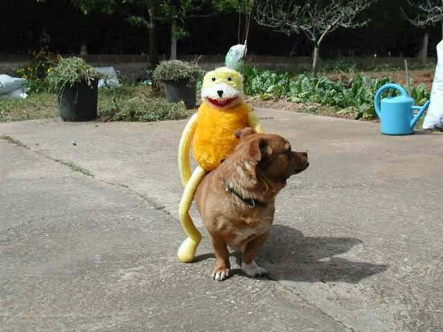 flat_eric.jpg
