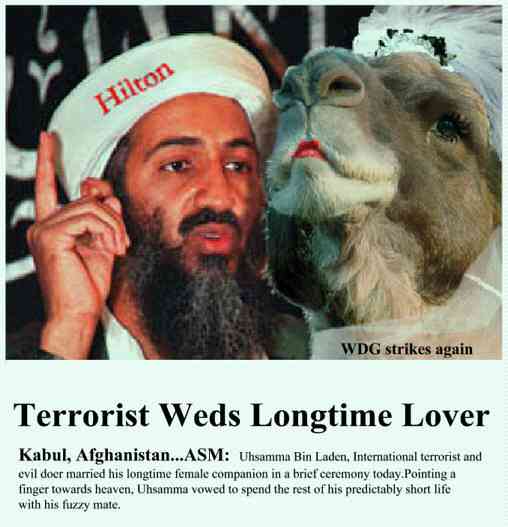 osama_camello.jpg