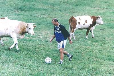 rivaldo_vaca.jpg