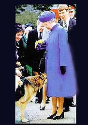 royal_canin.jpg