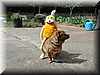 flat_eric