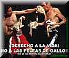 pelea_de_gallos