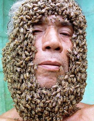 abejas.jpg