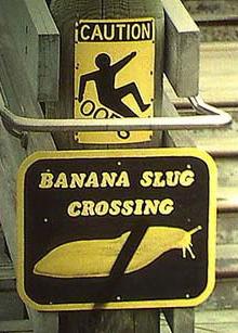 caution.jpg