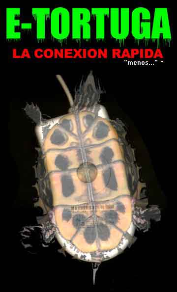tortuga11.jpg