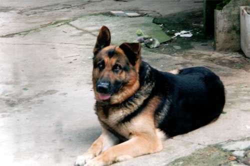 CHLEY_tati.jpg