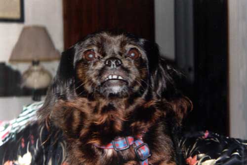 WANDA_tati.jpg