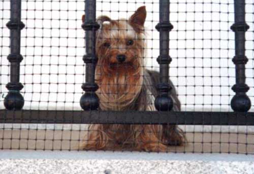 Winnie2.jpg