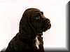 BOGART2_tati
