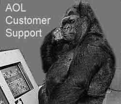 gorila_aol.jpg