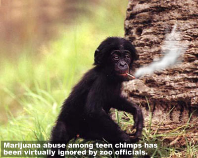 marihuana.jpg