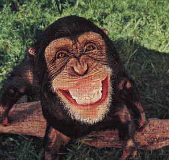 supersonrisa.jpg