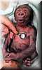 aay_que_frio_doctor