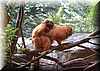 pareja_in_love