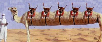 camelimusin.jpg