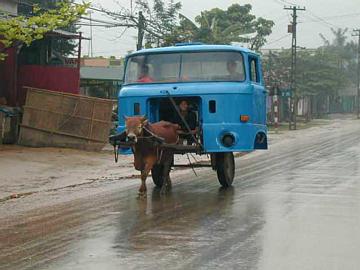 cochecaballo2.jpg