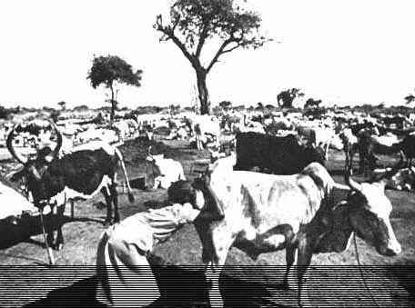 etiopia3.jpg