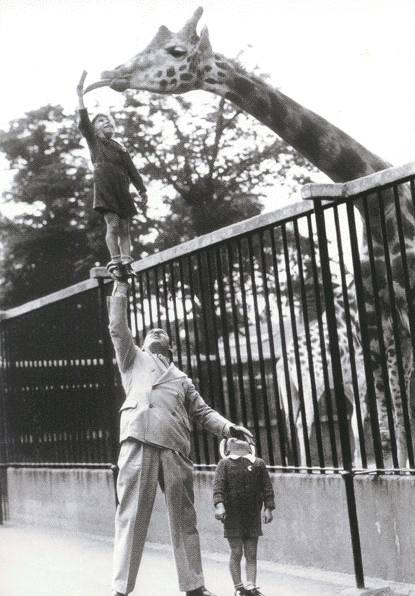 girafa_zoo.jpg