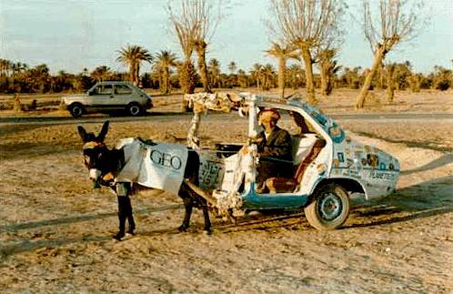 traccion_animal.jpg