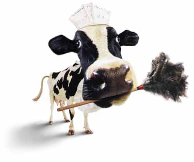 vaca_limpieza.jpg