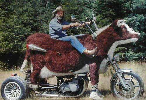 vaca_moto.jpg
