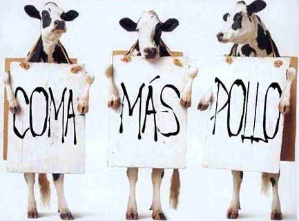 vacas.jpg