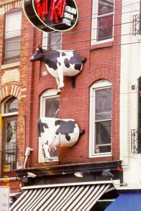 vacas_pared.jpg
