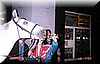 caballo_cola