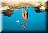 jirafa_reflejo