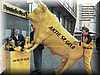 toro_correos