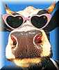 vaca03