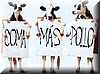 vacas