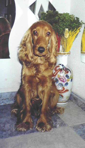 Jose_Luis-PERLA.jpg
