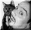 torbe_con_gato