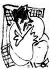 El_Observador.jpg (20751 bytes)