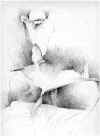 Fantasma_de_Dia.jpg (12104 bytes)